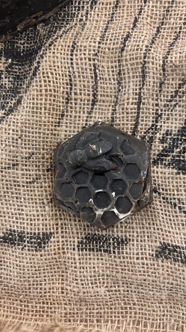"Pine Tar" Soap - Image 2